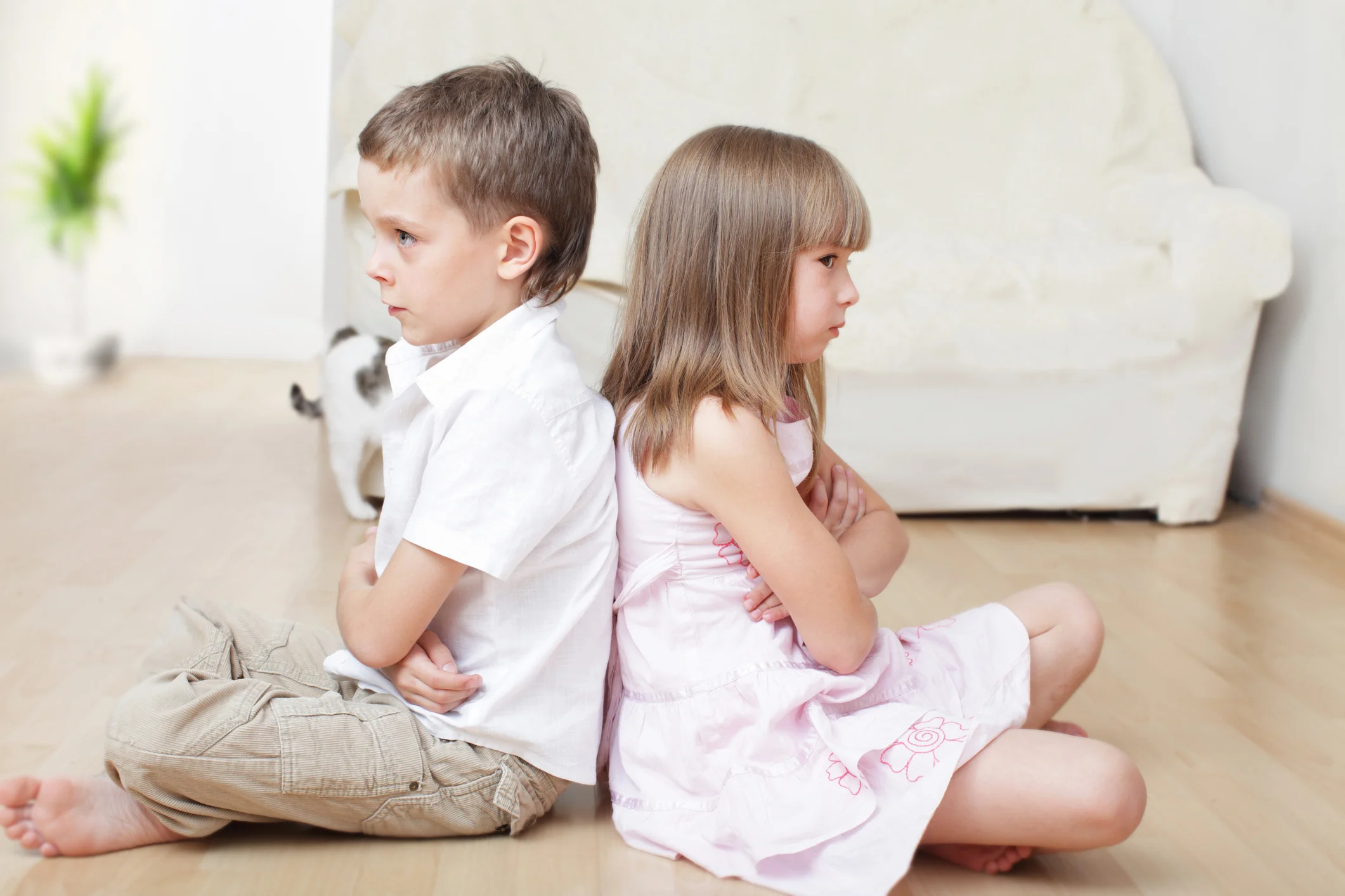 13 Ideas for When Siblings Fight