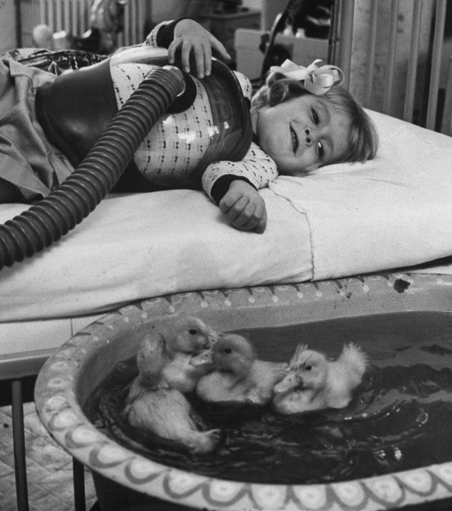Francis Miller—Time & Life Pictures/Getty Images