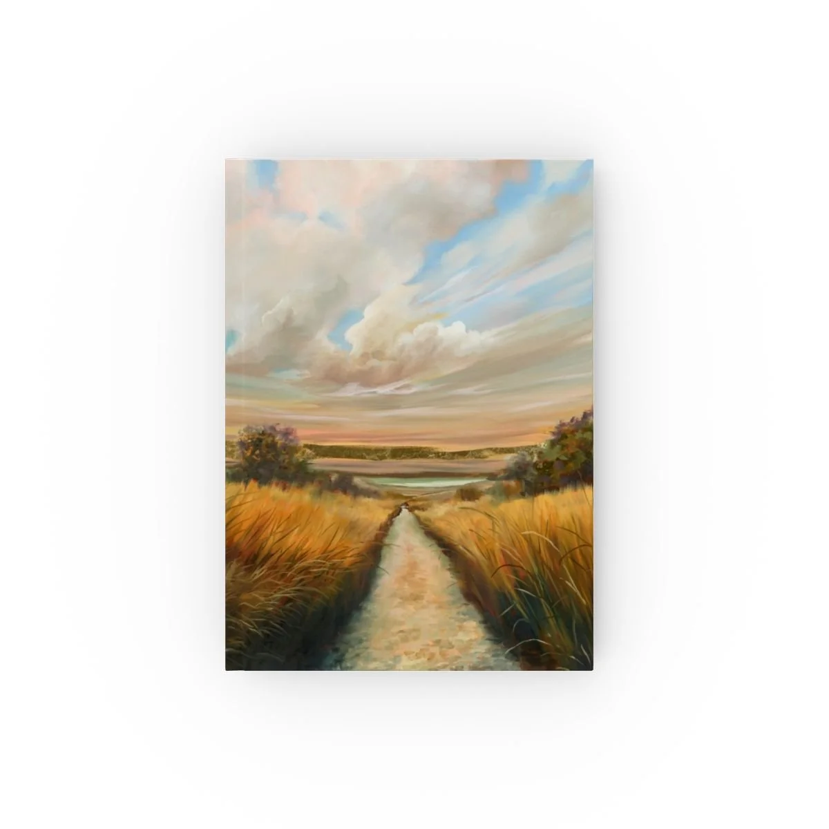 e0ba5c3b186470d042331b607469cd87