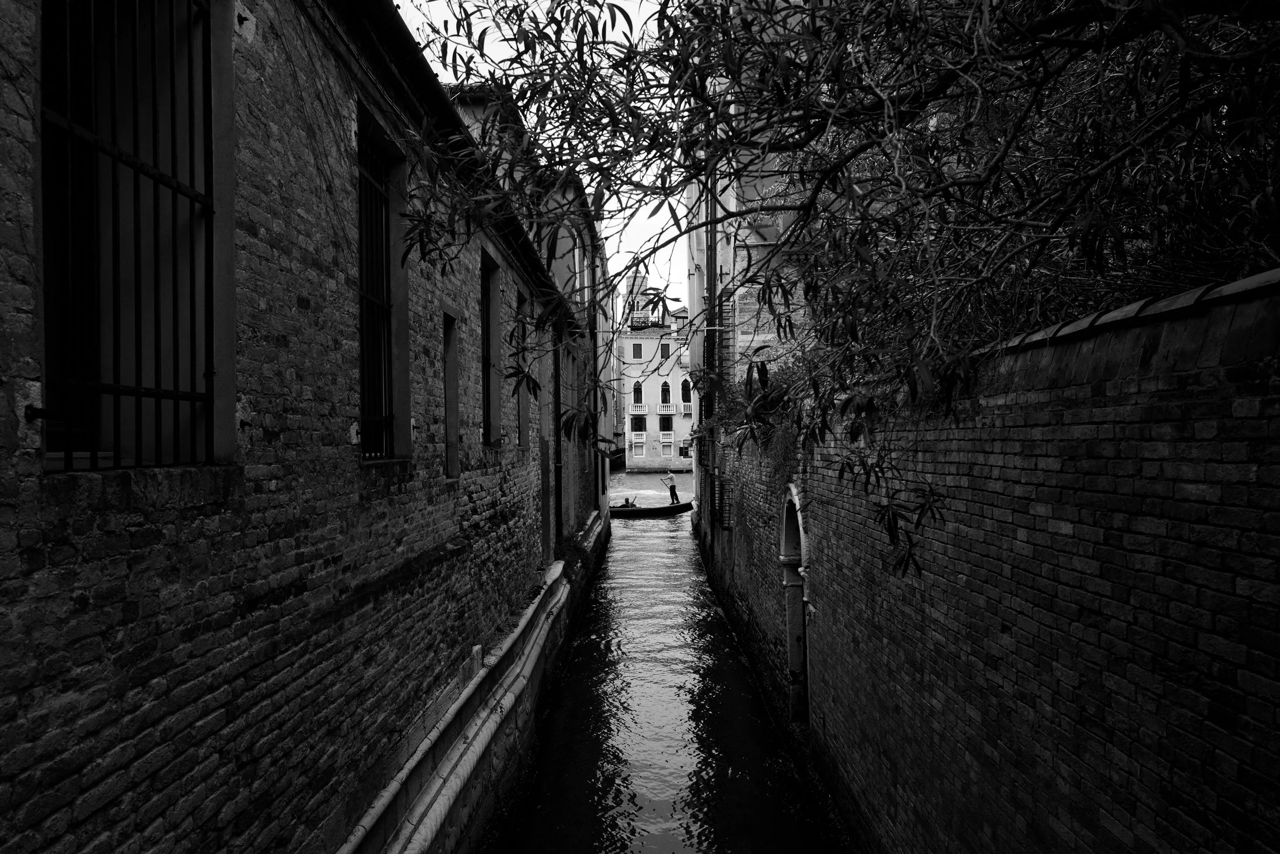 Italy26_01-Venice_0354.jpg