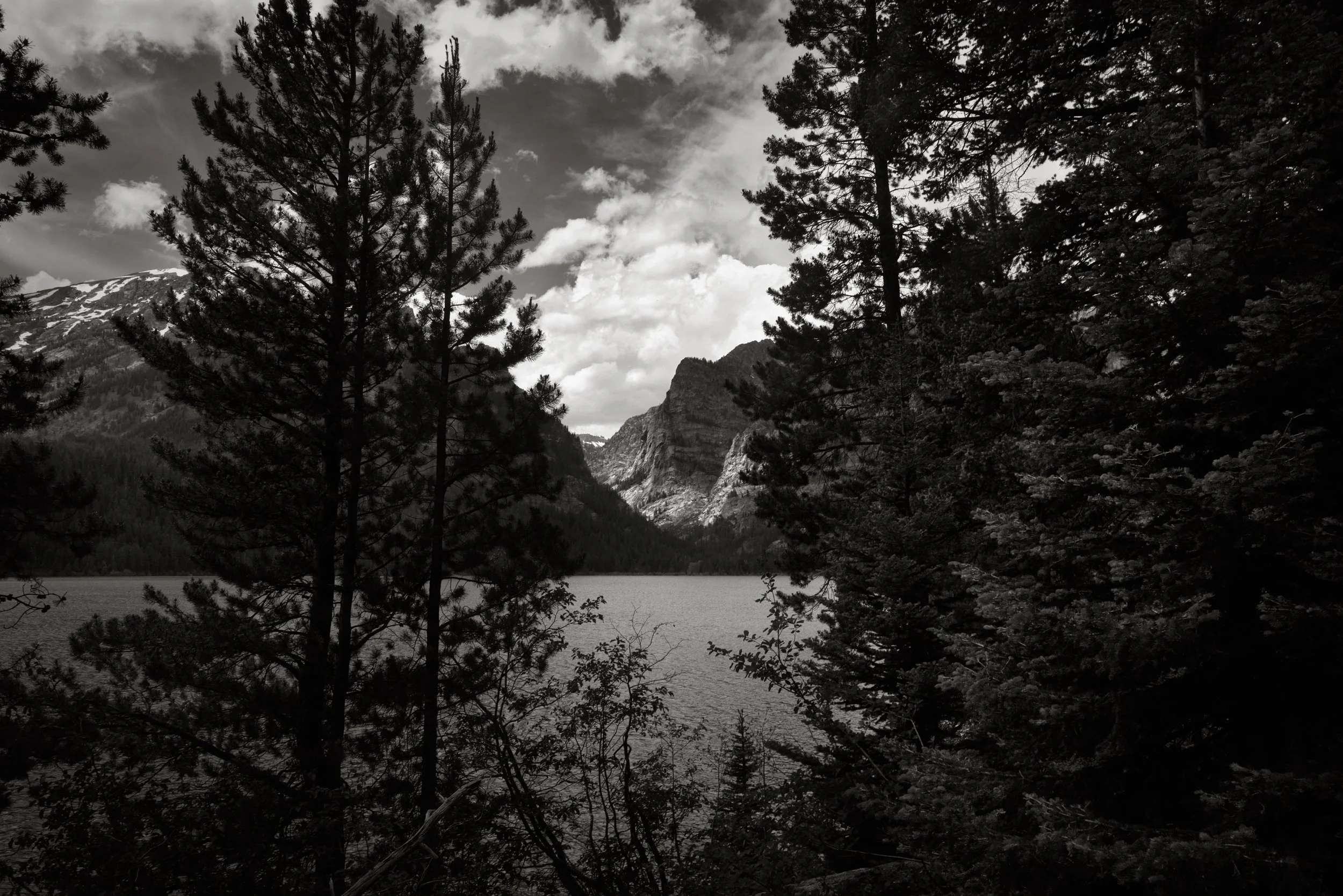 jacksonhole2025_day2_0386_BW.jpg