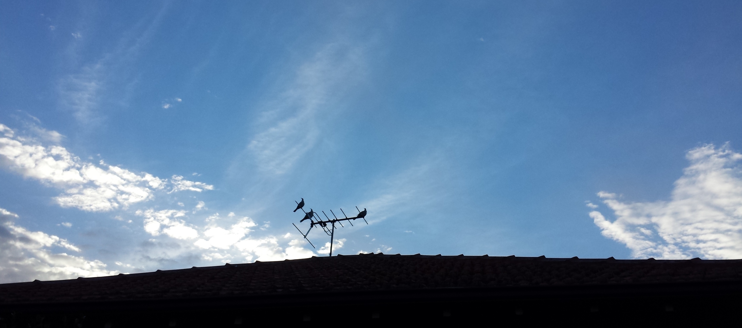 20130906_064717.jpg
