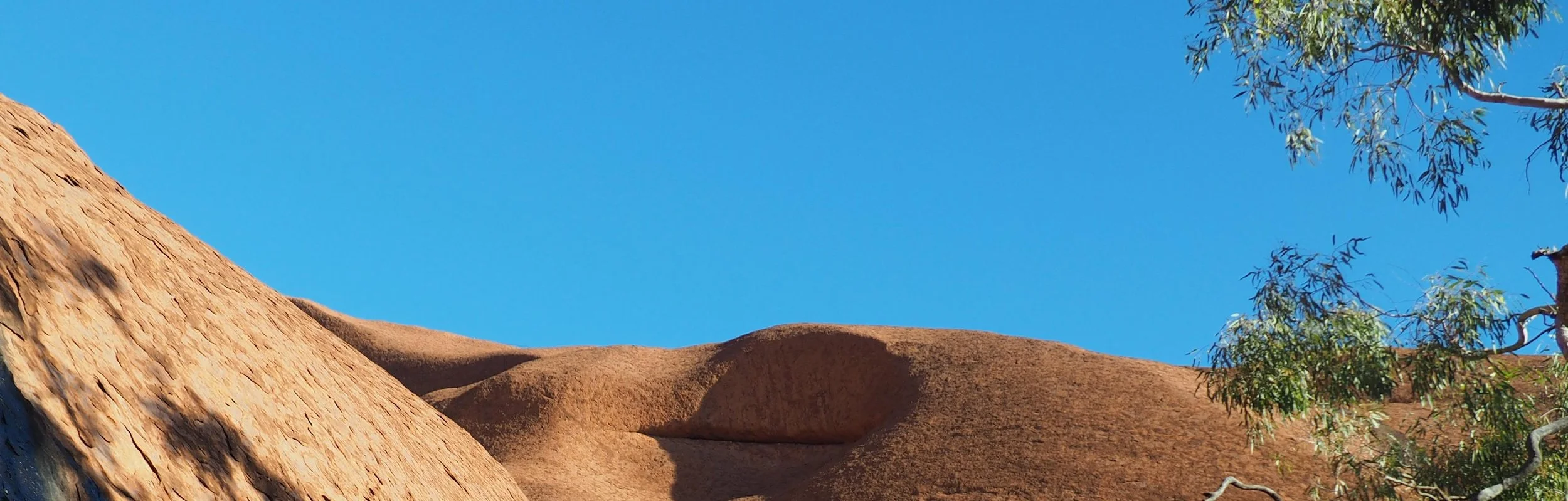 This is a longer Progressive Relaxation Meditation which combines Mindfulness as well as guided progressive relaxation for your entire body with relaxing music.