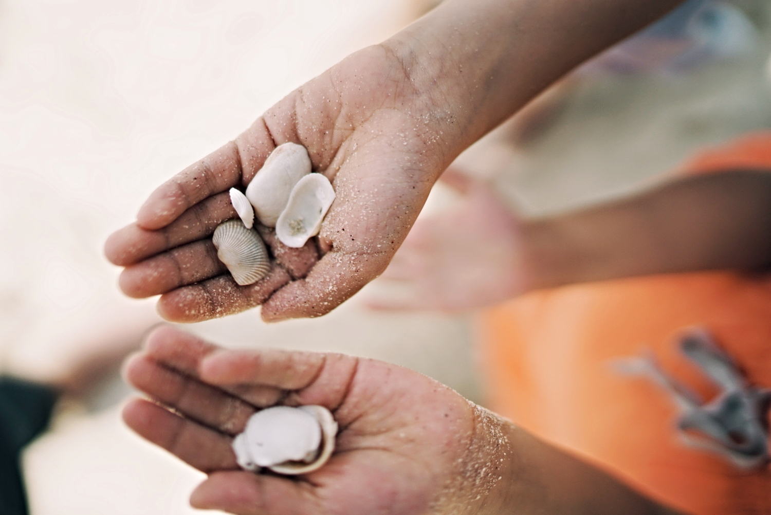 2015-04-10 07.55.27 1.jpg