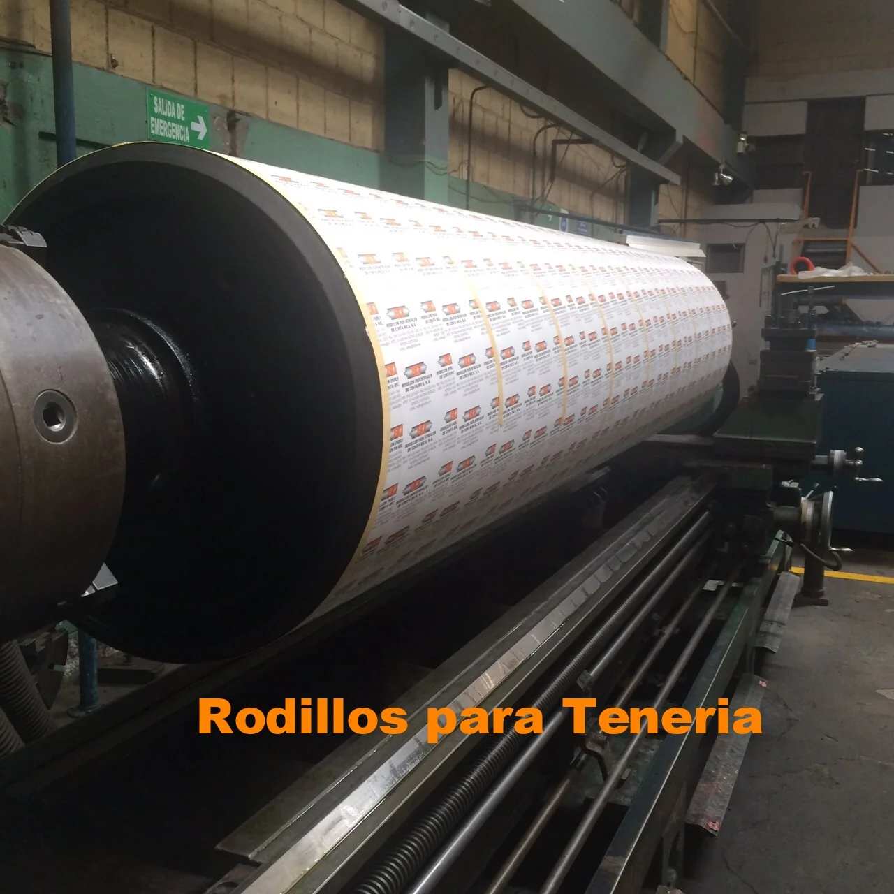 Rodillos para Teneria 