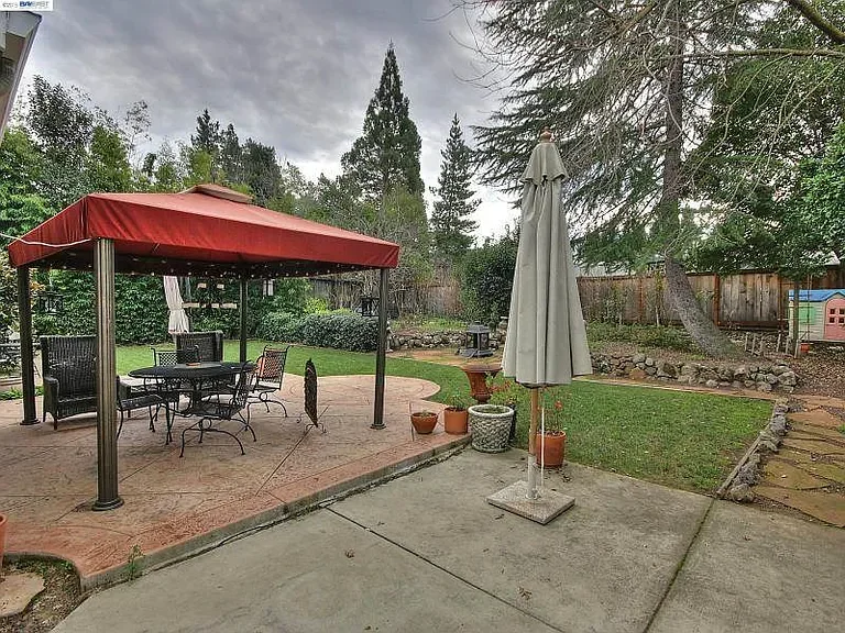 backyard before 2.webp