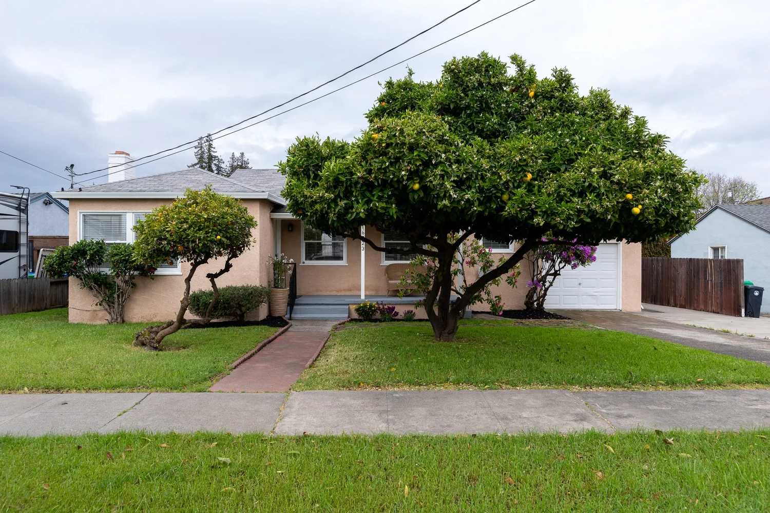 Our Listings — Shamrock Realtors Listings