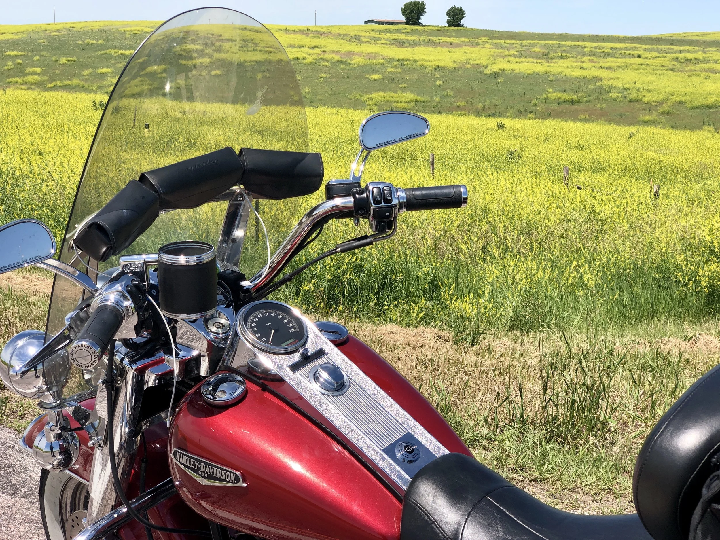 Day 8: Fields of Gold