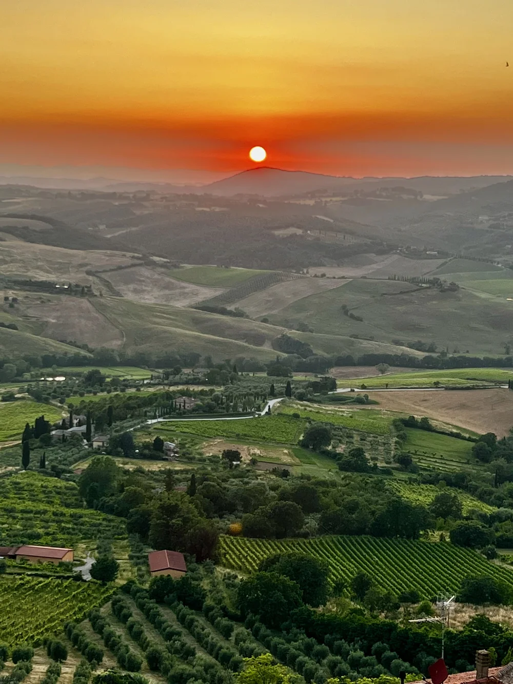 Golden sunset above rolling green hills and vineyards.