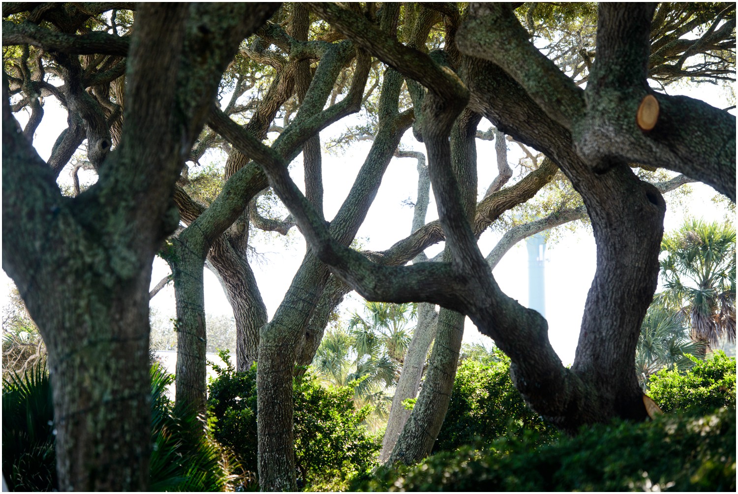 Jekyll-island-destination-beach-wedding-photography-_0033.jpg
