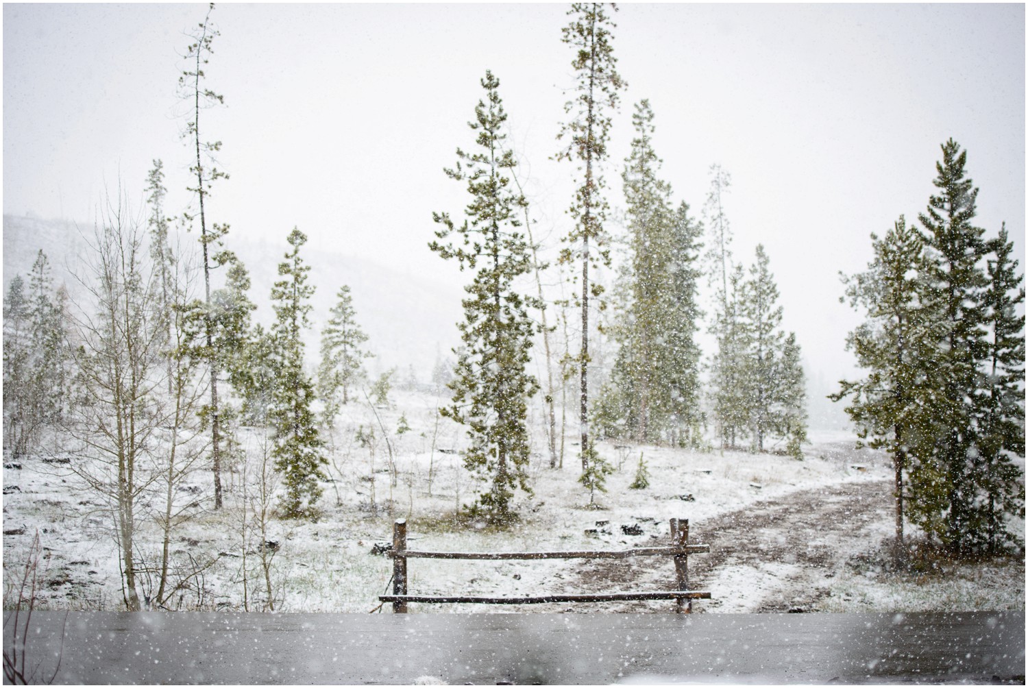 Devils-thumb-ranch-colorado-snowy-wedding-_0037.jpg