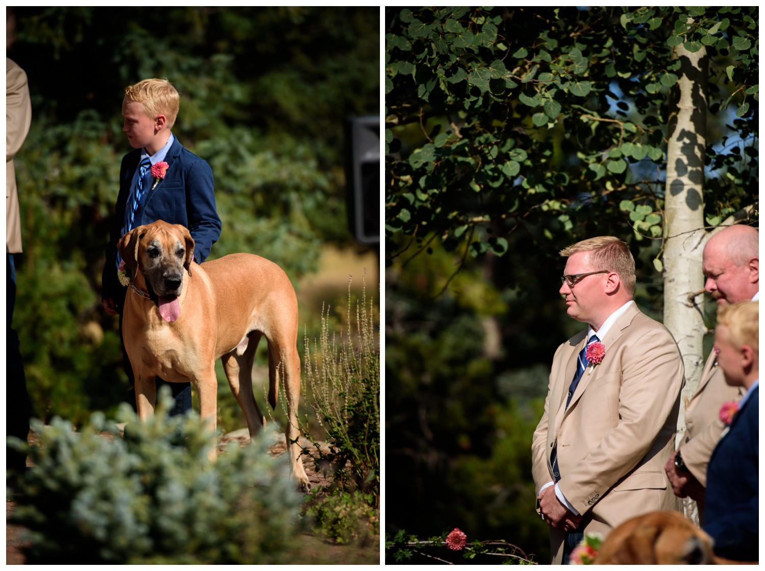 evergreen-colorado-wedding-photographer_0050.jpg
