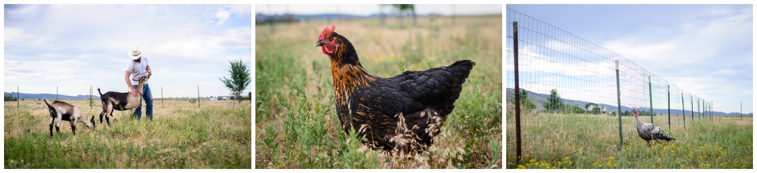 Boulder-organic-farm-environmental-photography-_0015.jpg