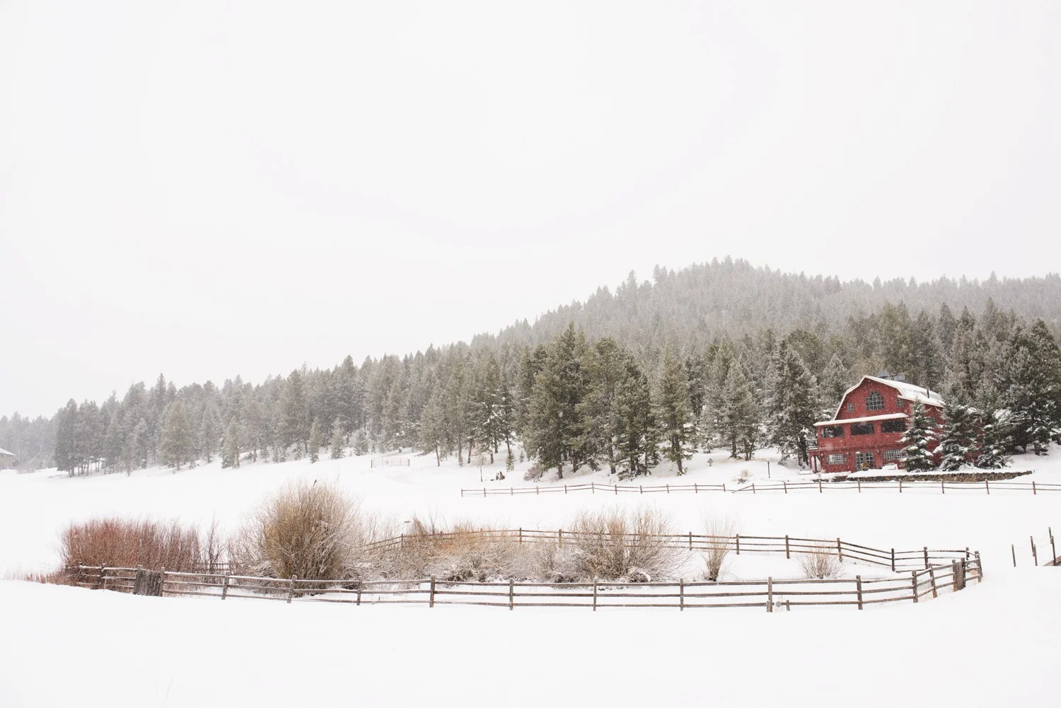 Evergreen-mountain-winter-wedding-photography_0037.jpg