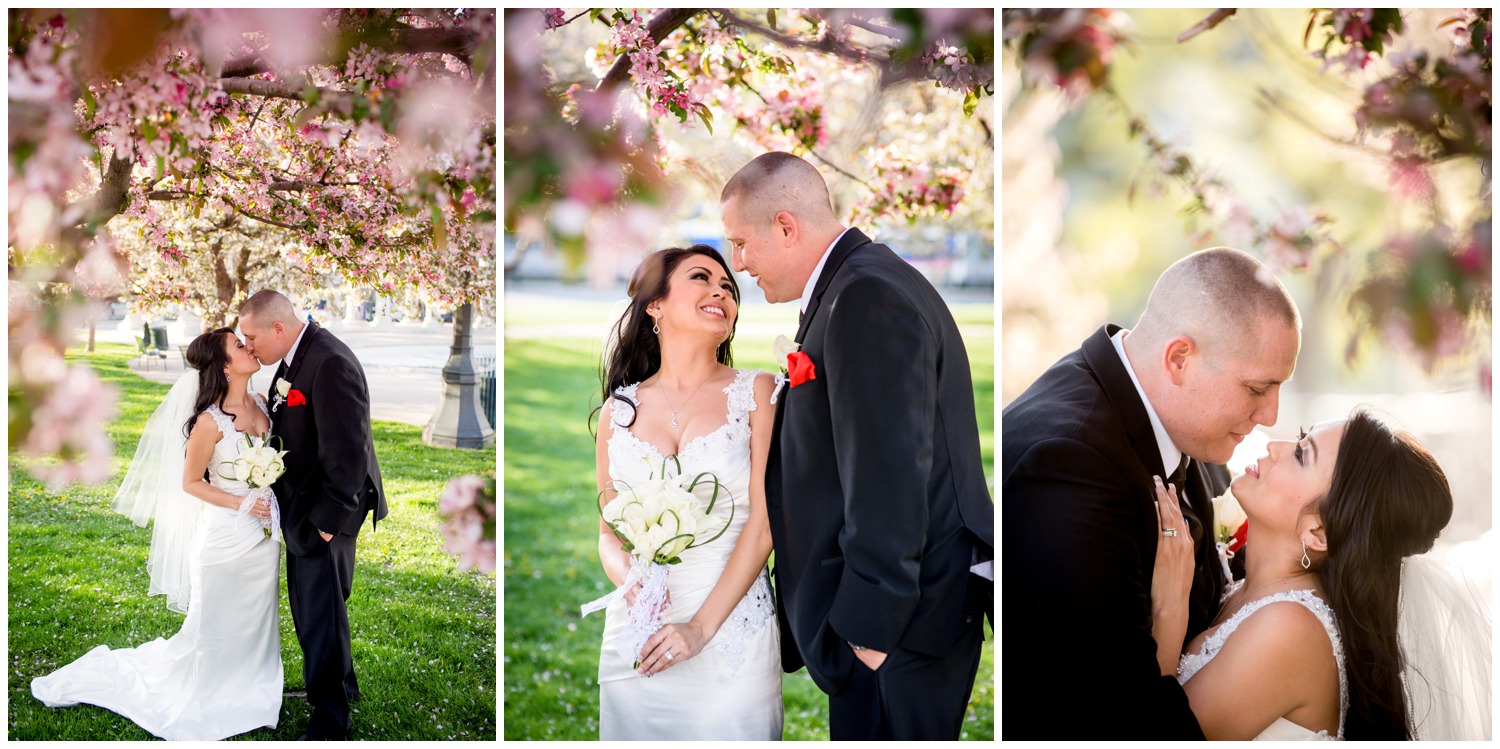 Bride and Groom kiss under blossoming tree in Colorado wedding