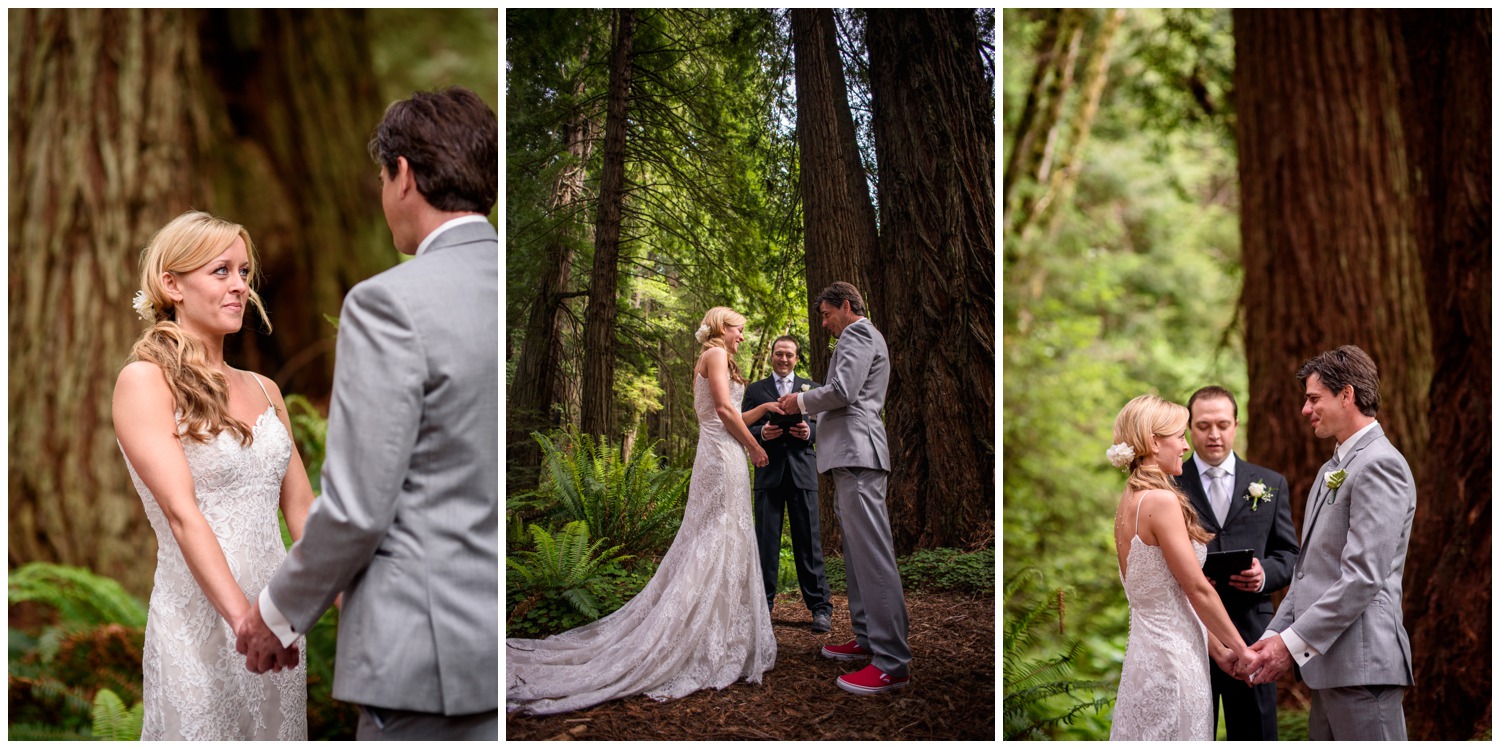 Redwood-Forest-destination-wedding-photography-_0058.jpg