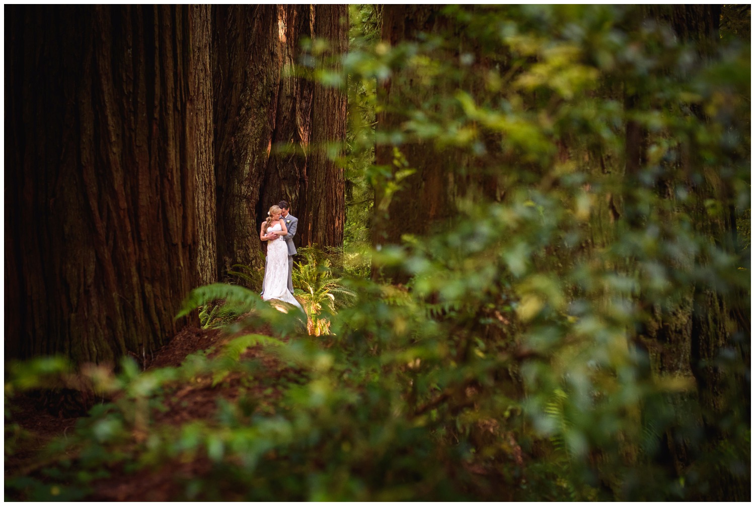 Redwood-Forest-destination-wedding-photography-_0081.jpg