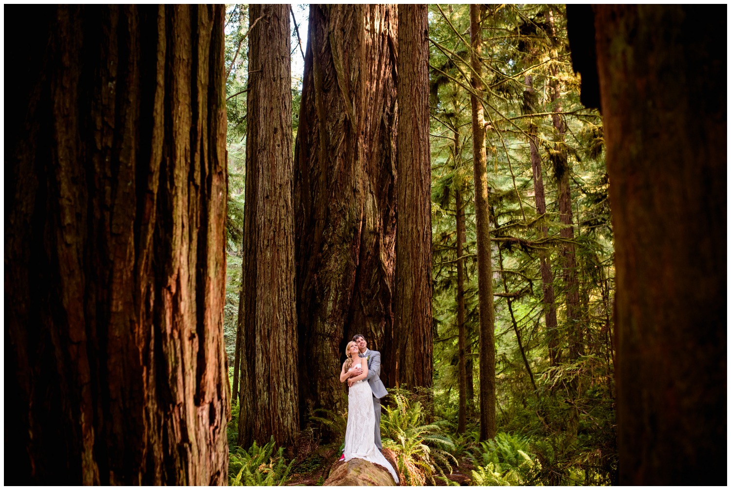 Redwood-Forest-destination-wedding-photography-_0082.jpg