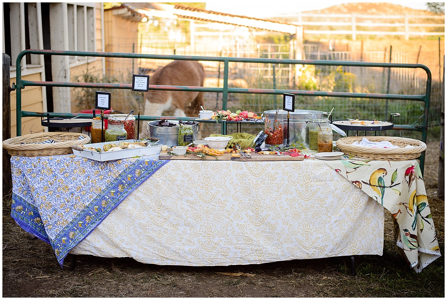 Fort-collins-colorado-farm-wedding_0118.jpg
