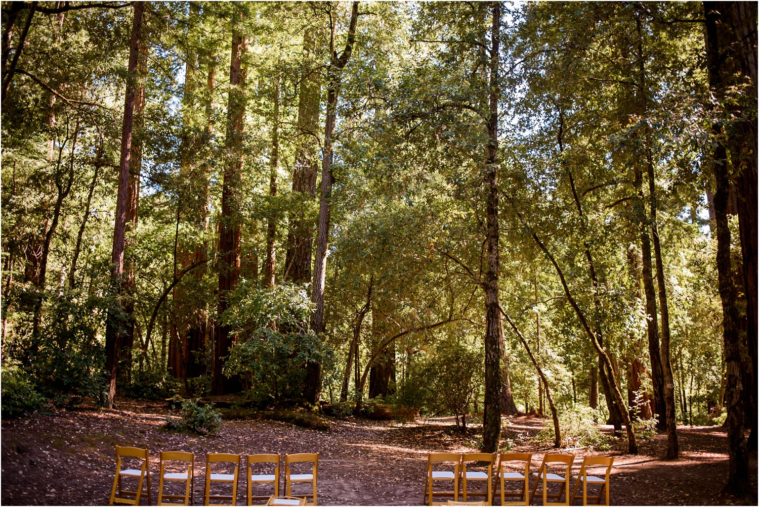 Redwood-Forest-California-Wedding-photography_0002.jpg