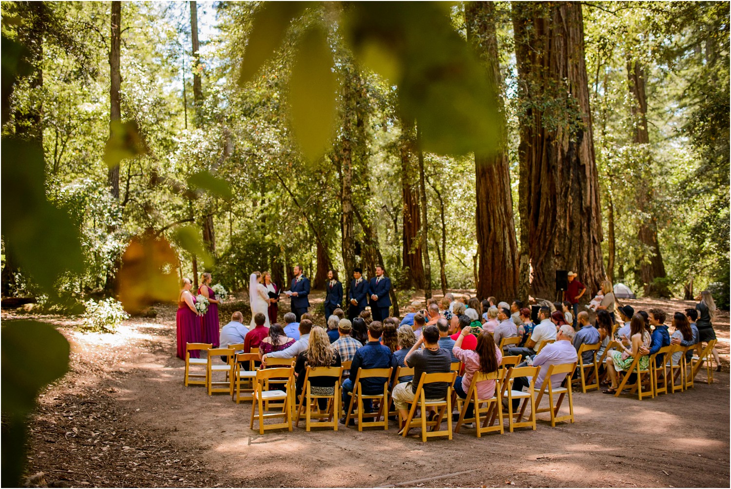 California Redwood Wedding Ceremony