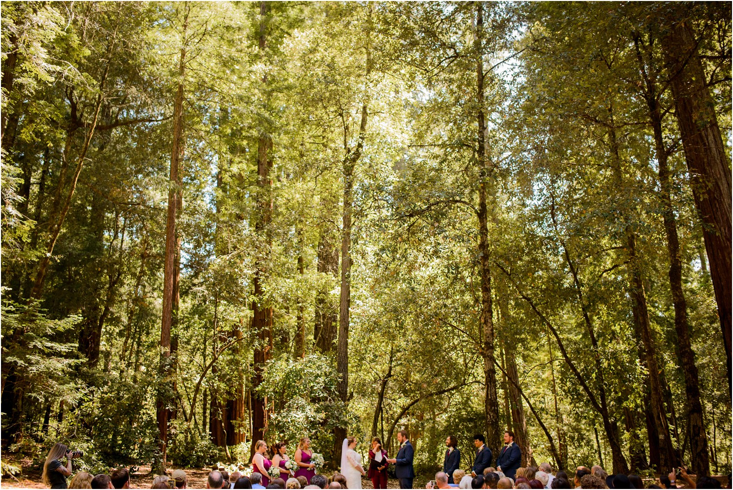 Redwood Wedding Ceremony