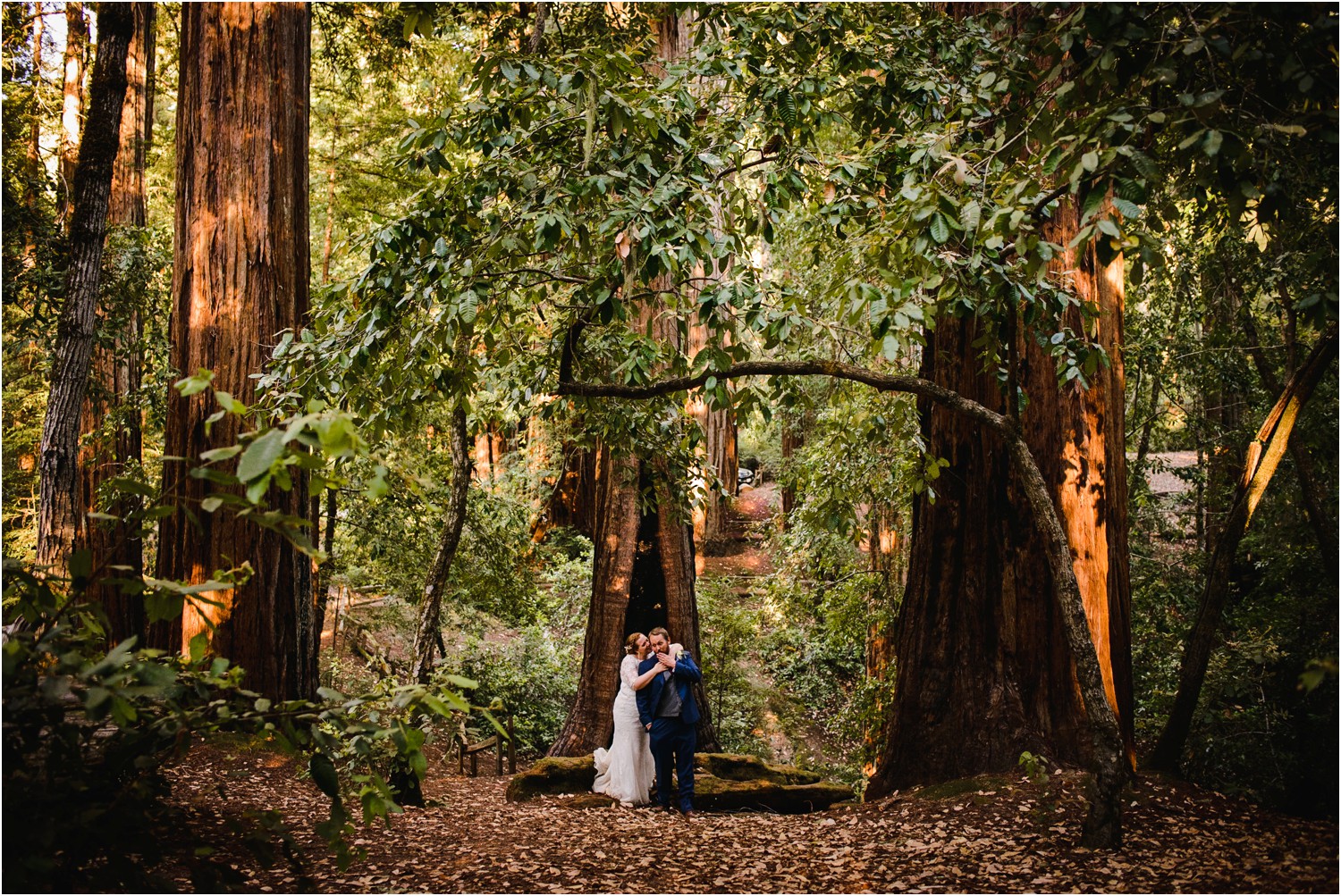 Redwood-Forest-California-Wedding-photography_0100.jpg