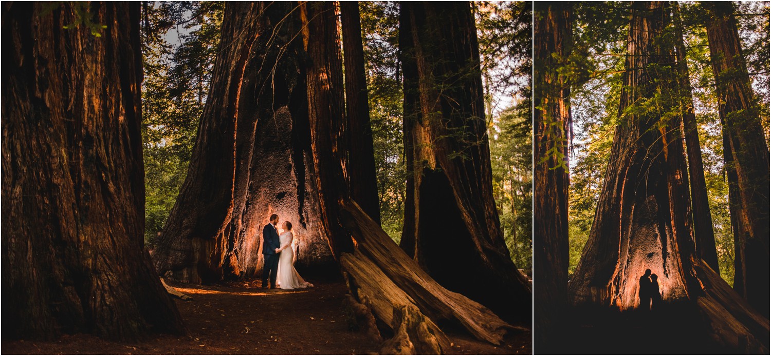 Bride and Groom portrait inside large Redwood Tree