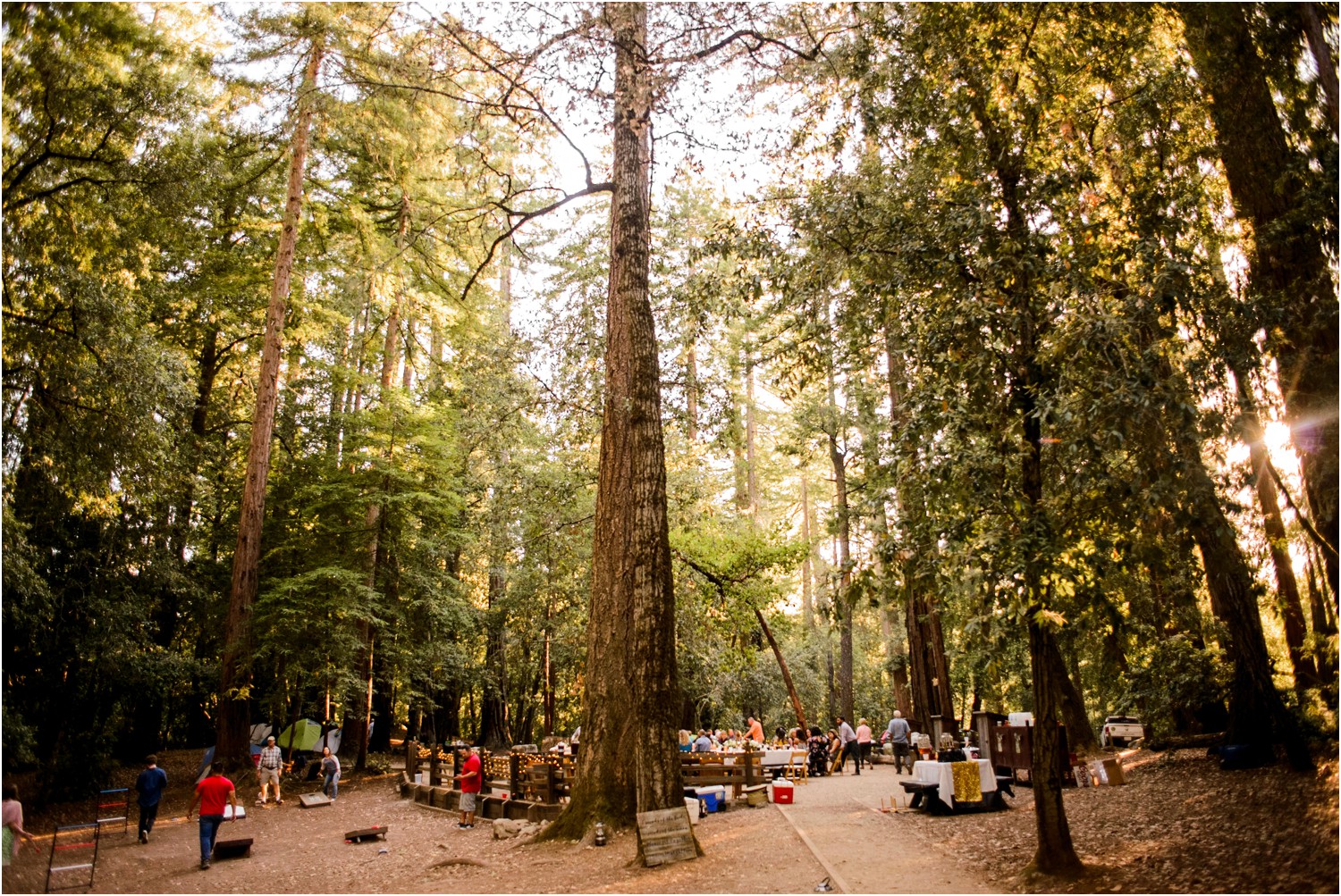 Redwood-Forest-California-Wedding-photography_0102.jpg