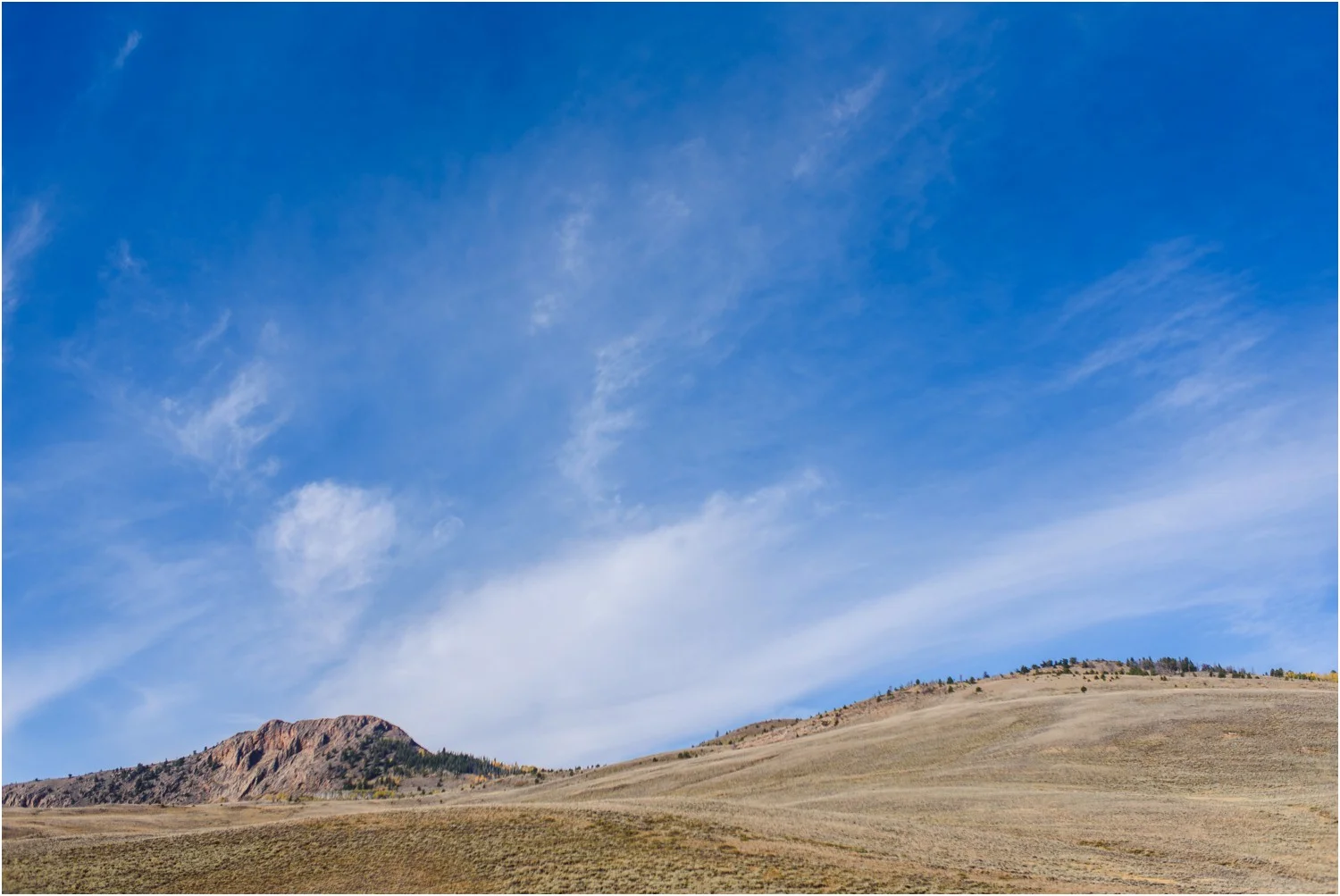 Colorado-fall-fly-fishing-photography_0003.jpg