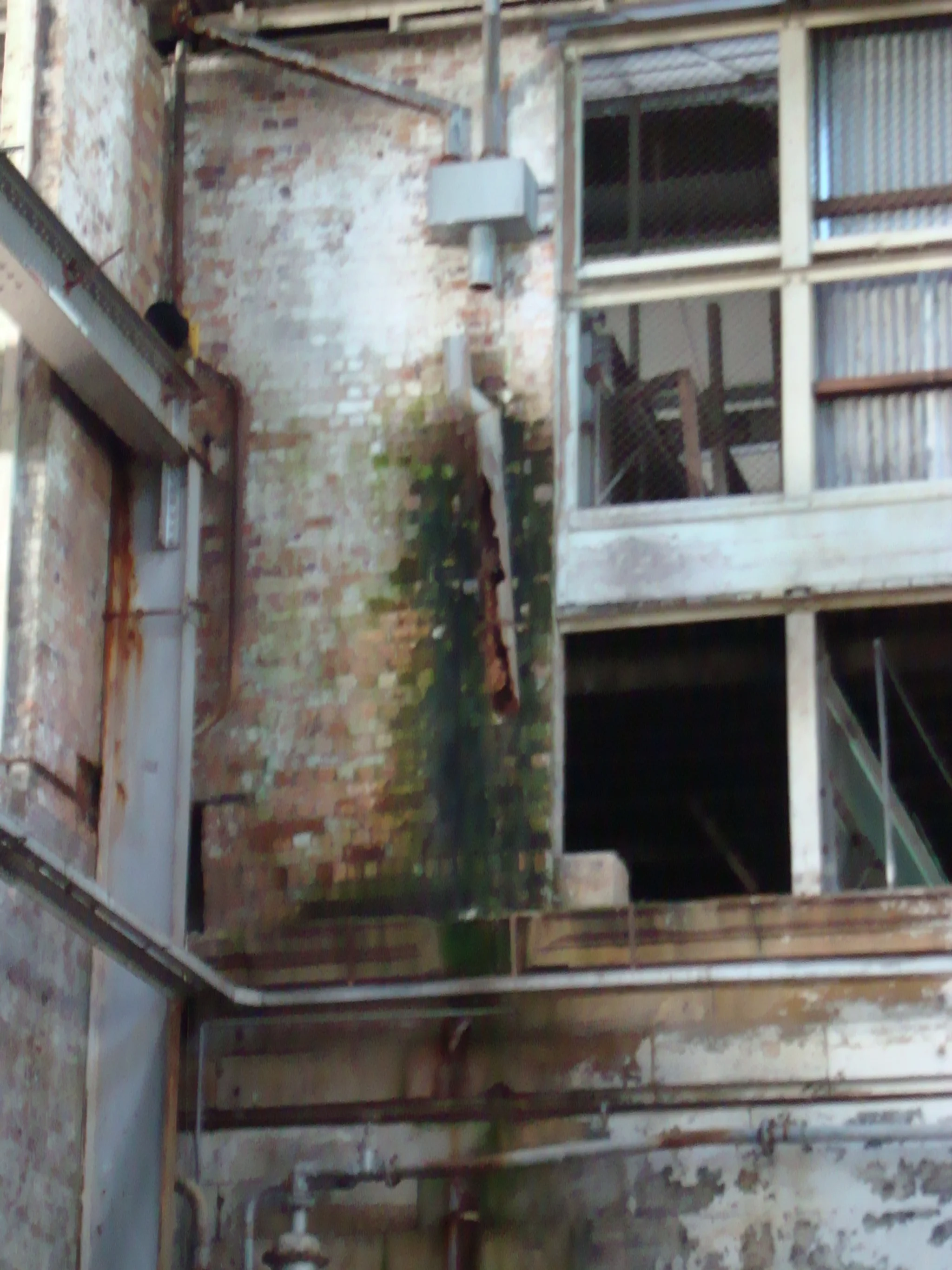 DSC01527.JPG