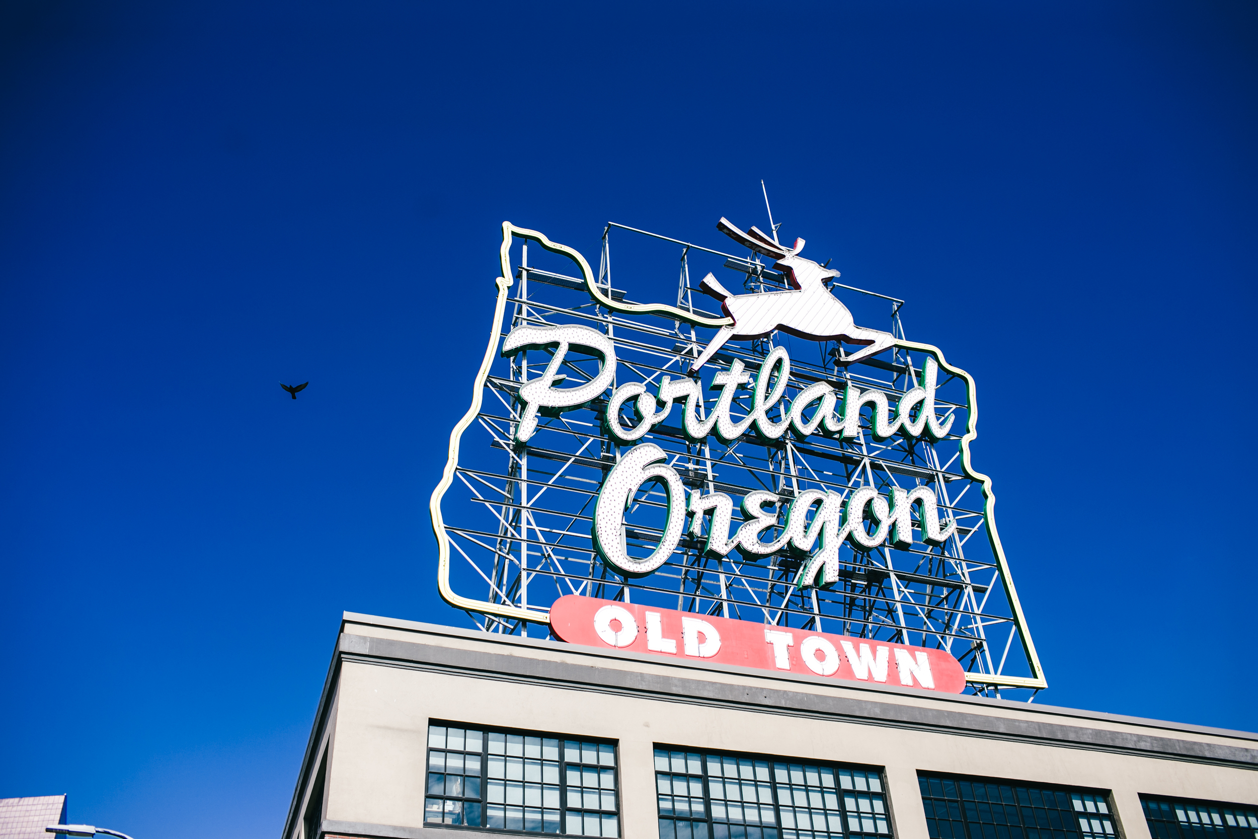 travel_portland-115.jpg