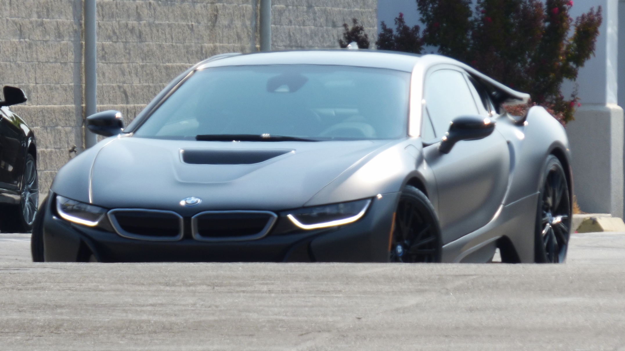 Spotted on the Streets: Hybrid Edition