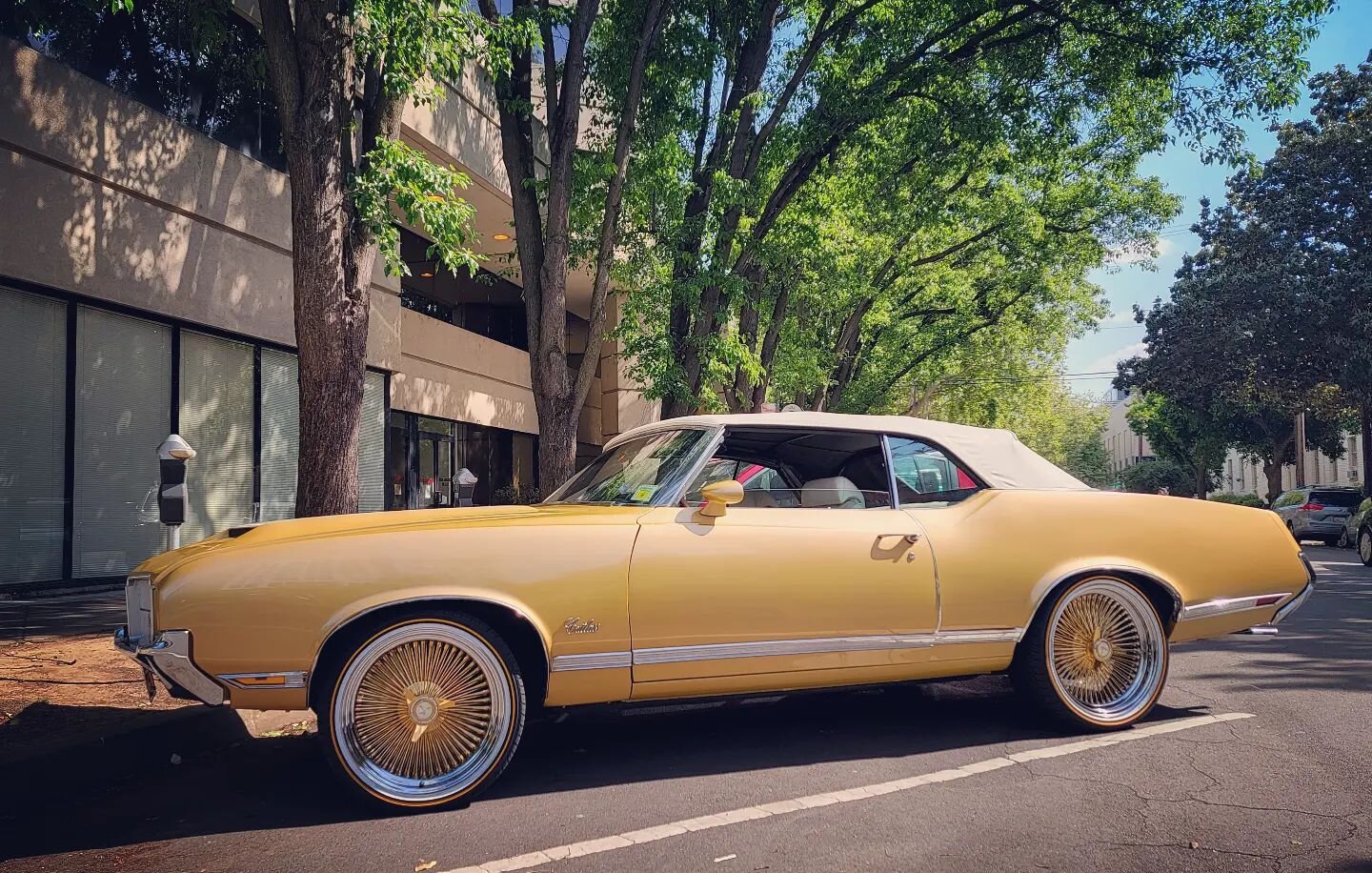 CutlassGold #oldsmobile #cutlass #Olds #cutlasssupreme #gold #spokes #convertible #droptop #style #spring #og