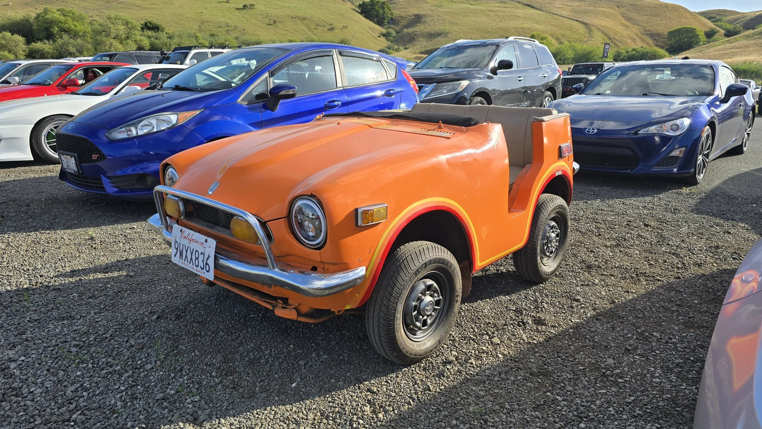 20260529_174950.jpg
