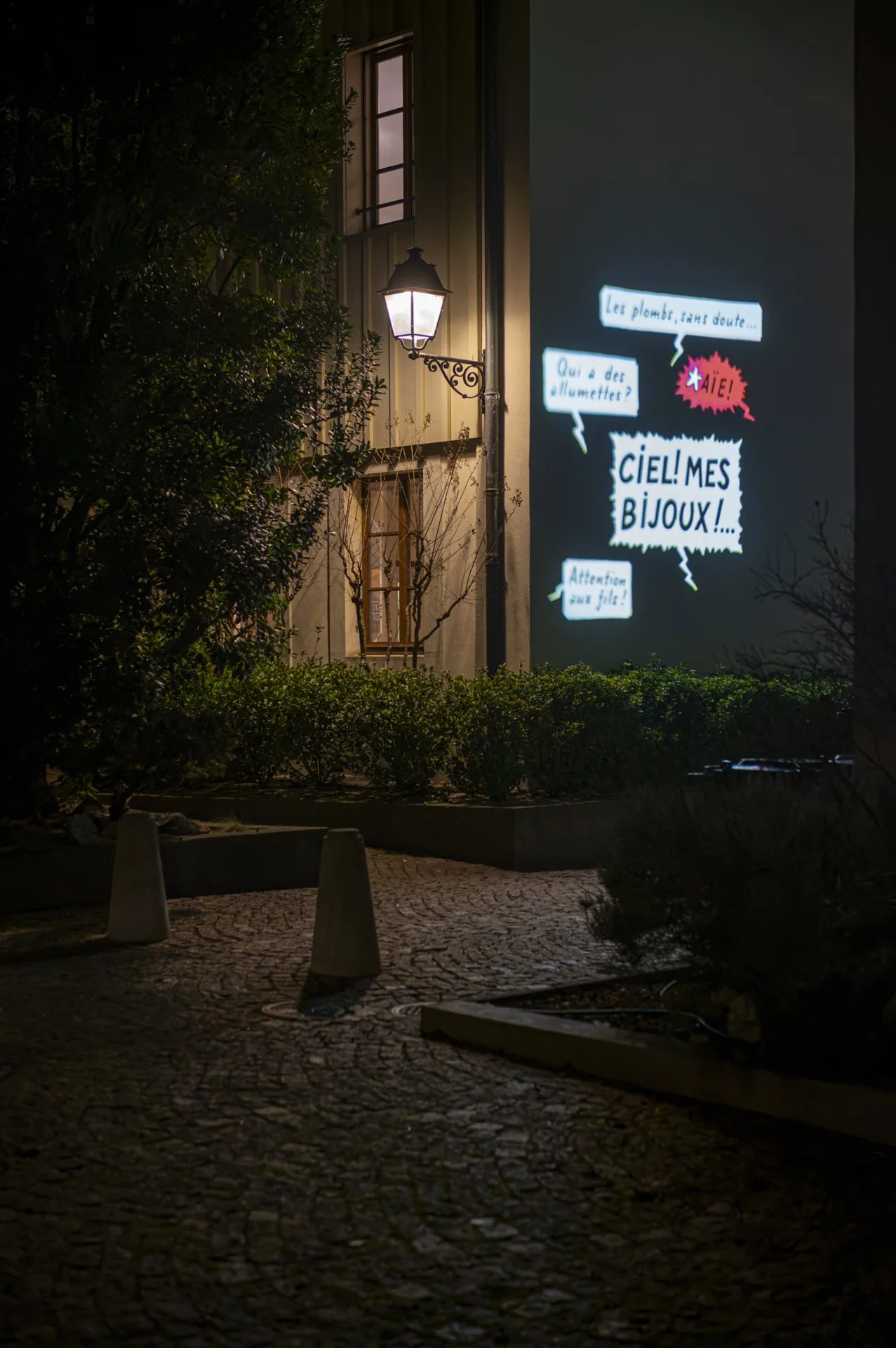 Carouge-fete-la-bd-Castafiore-2025-26-par-Nicolas-Dupraz-BD (41).jpg