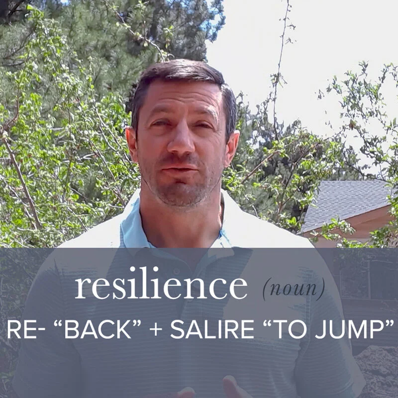 What is Resilience?