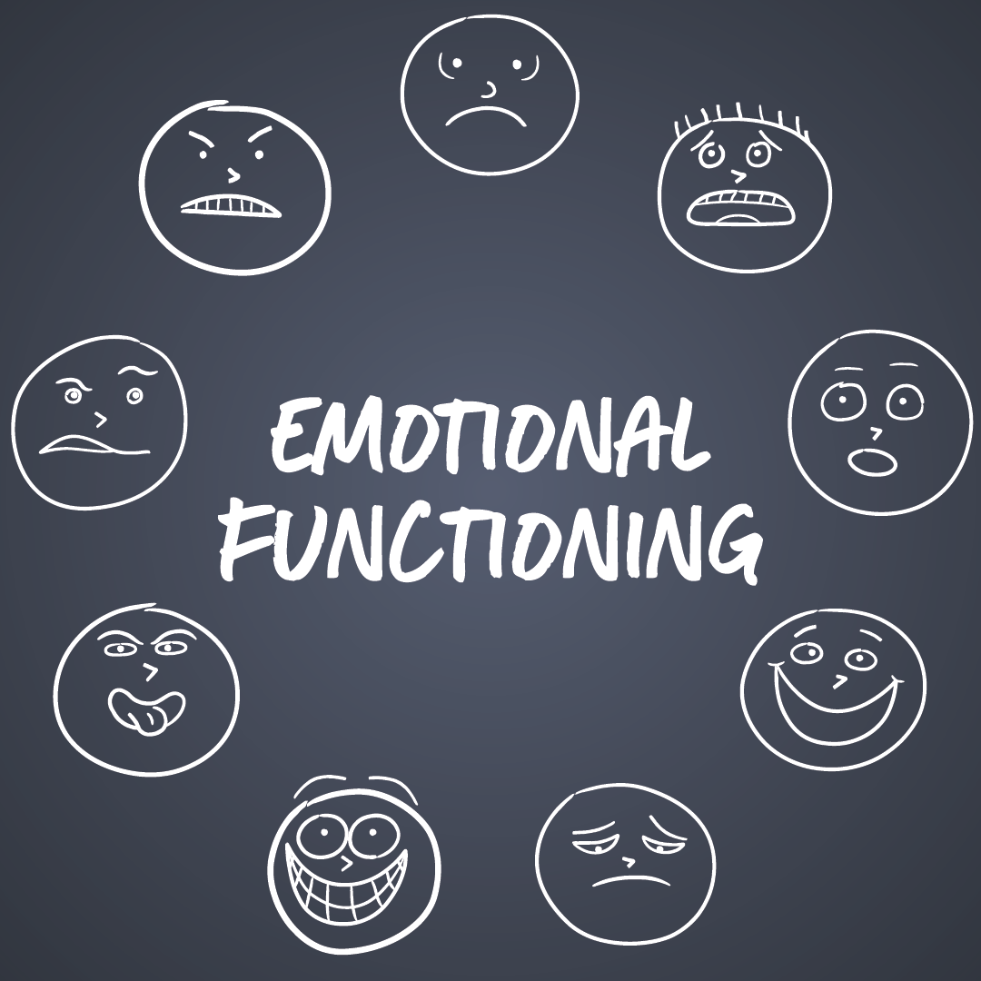 Emotional Functioning