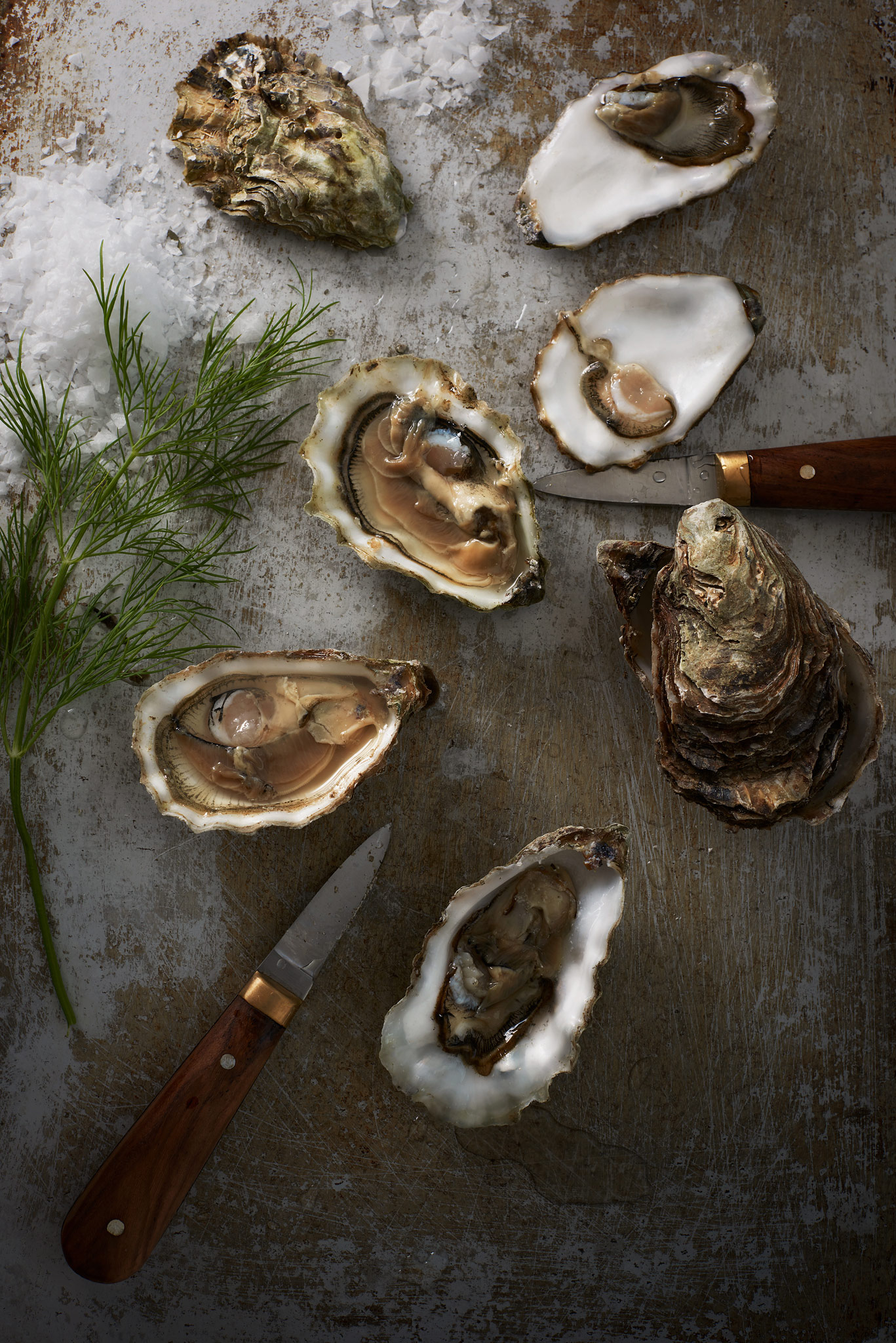 Oysters2.jpg