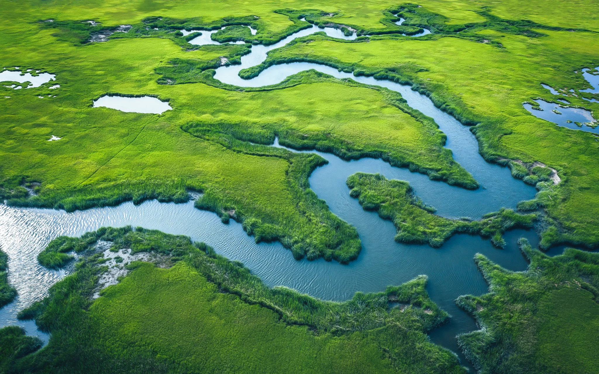 7MileIslandBay.jpg