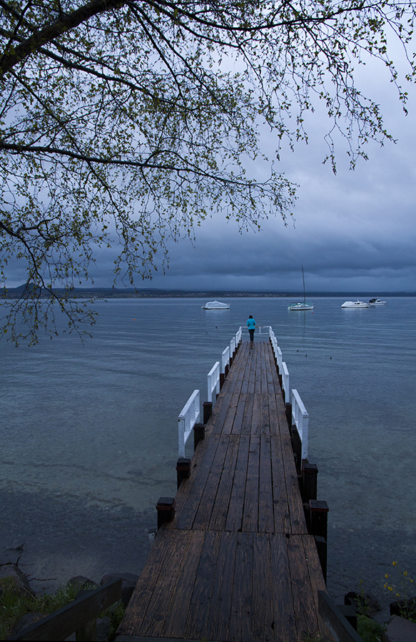 Landscapes8_900px.jpg