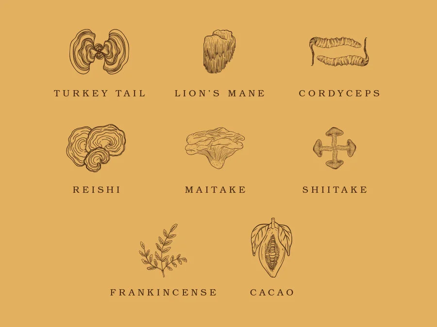 JarMock_Illustrations_2.jpg