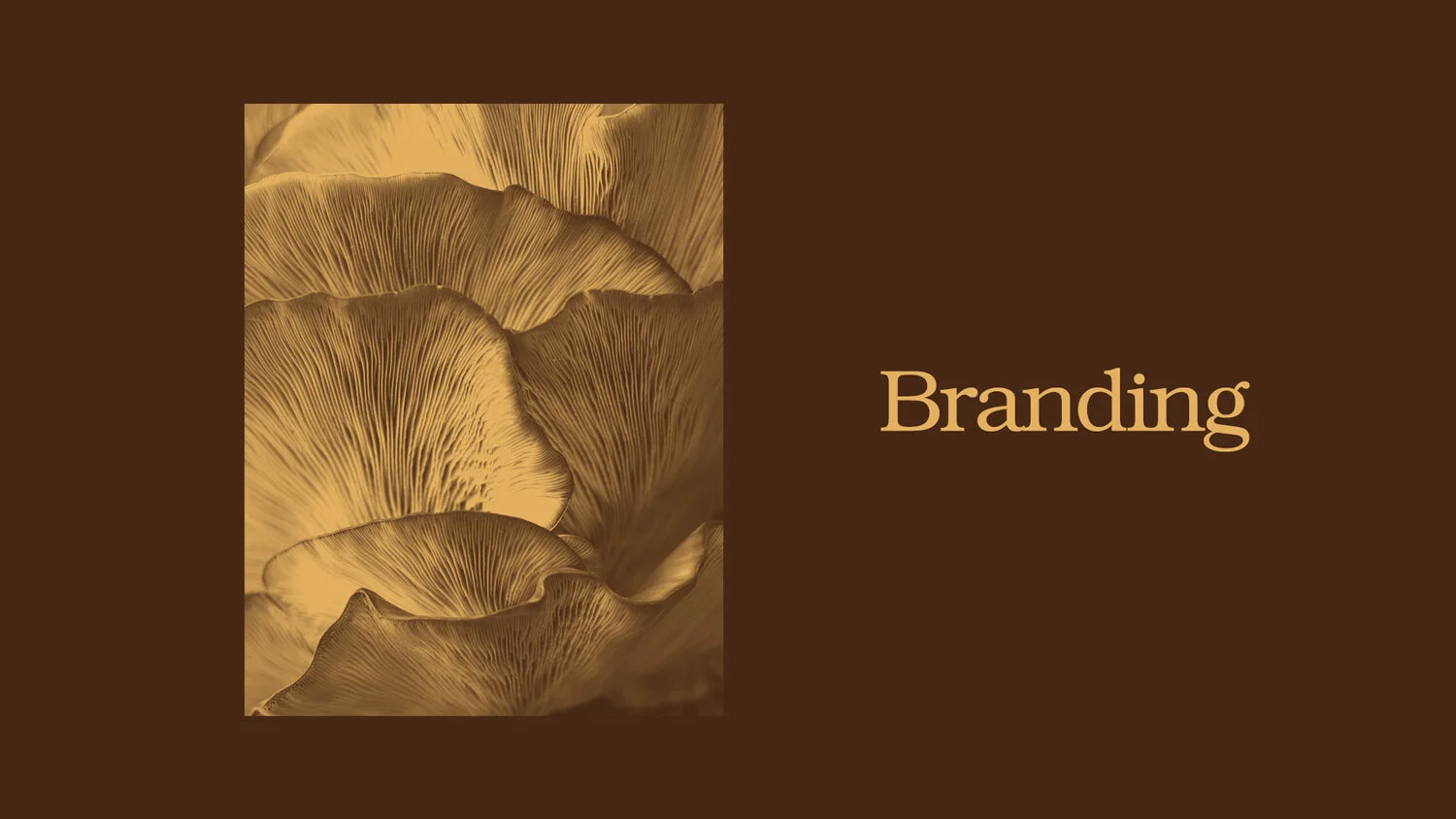 Images_Mushrooms_Branding.jpg