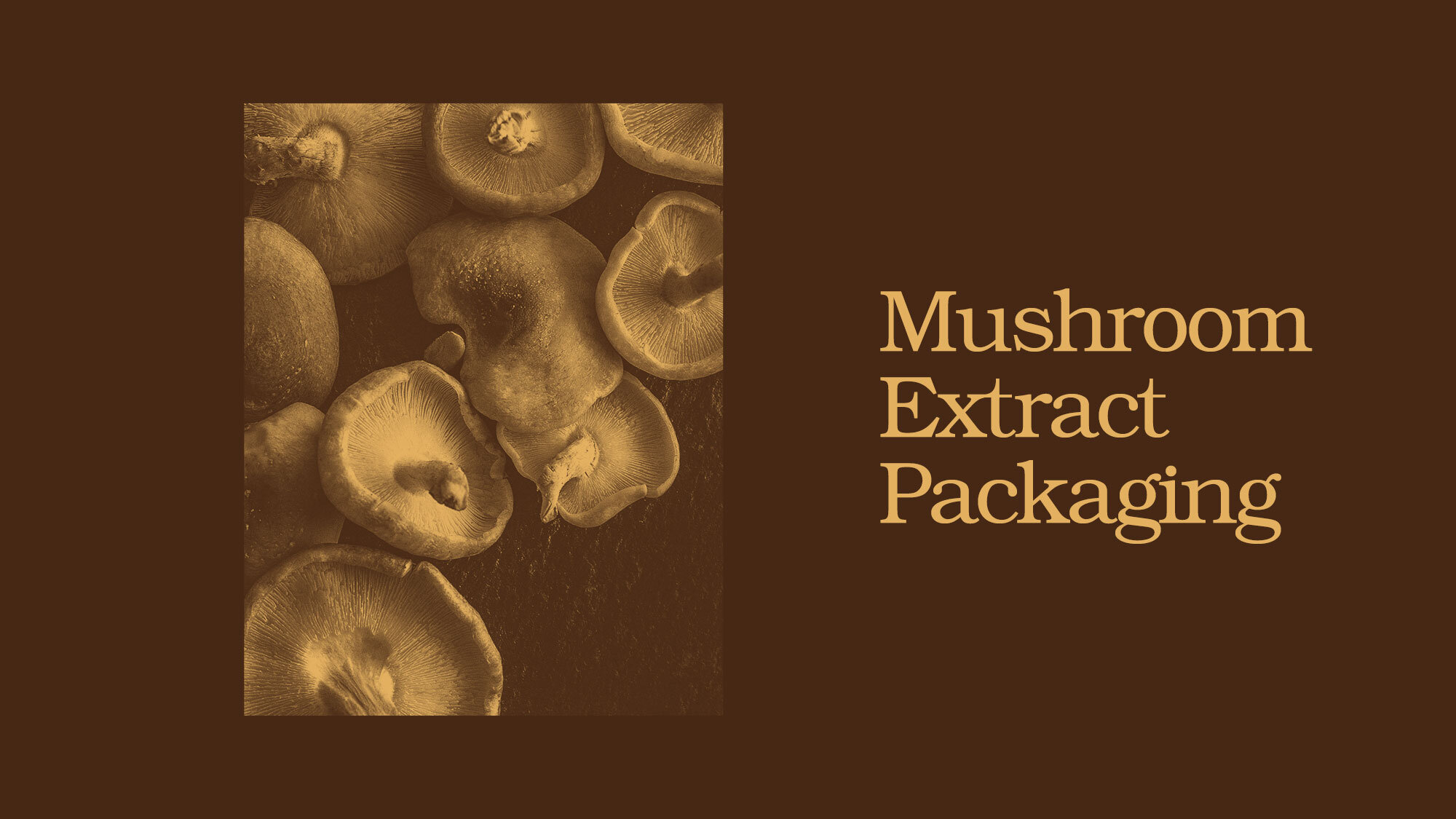 Images_Mushrooms_MushroomExtract.jpg