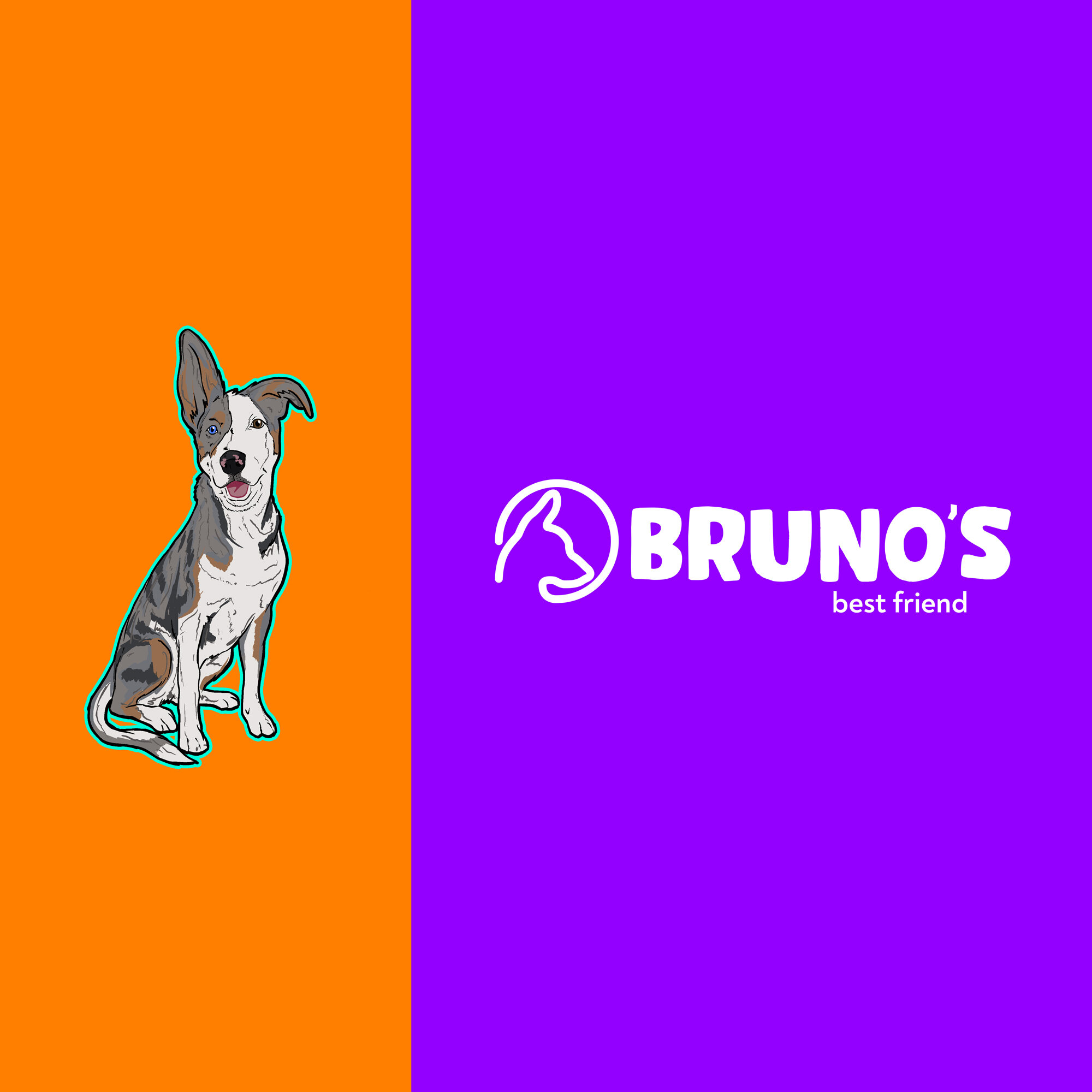 Bruno_1.jpg