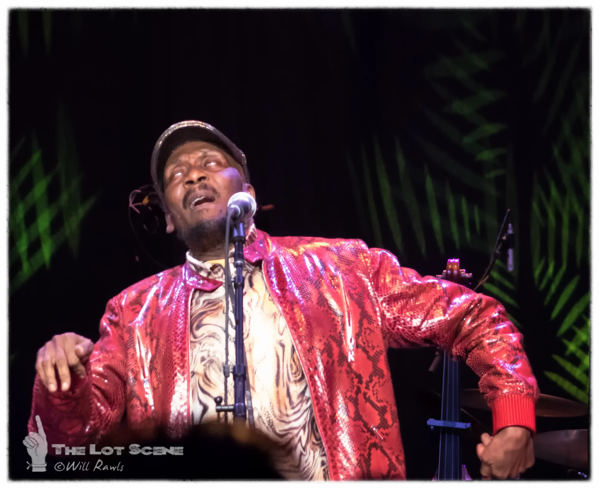DSC02345-Edit-Edit-Edit.jpg