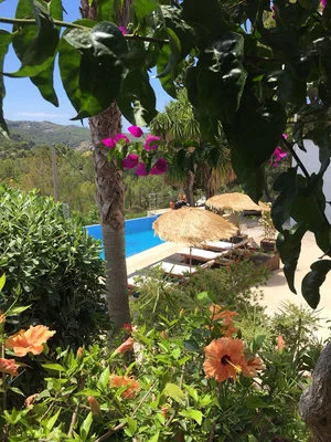 pooldeck_flowerssunshades ibiza.jpg