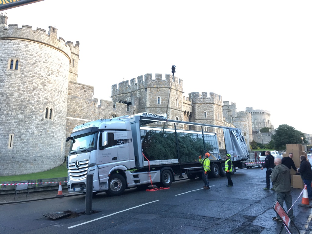 Unloading the tree at Windsor Castle. Is it bad luck to erect a Christmas Tree so early?