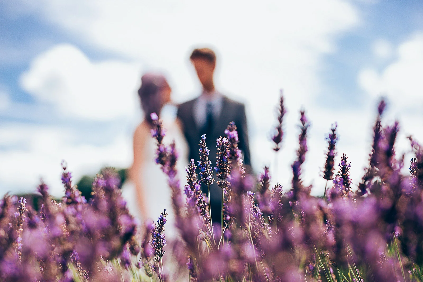 Lavender field Styled shoot-10.jpg