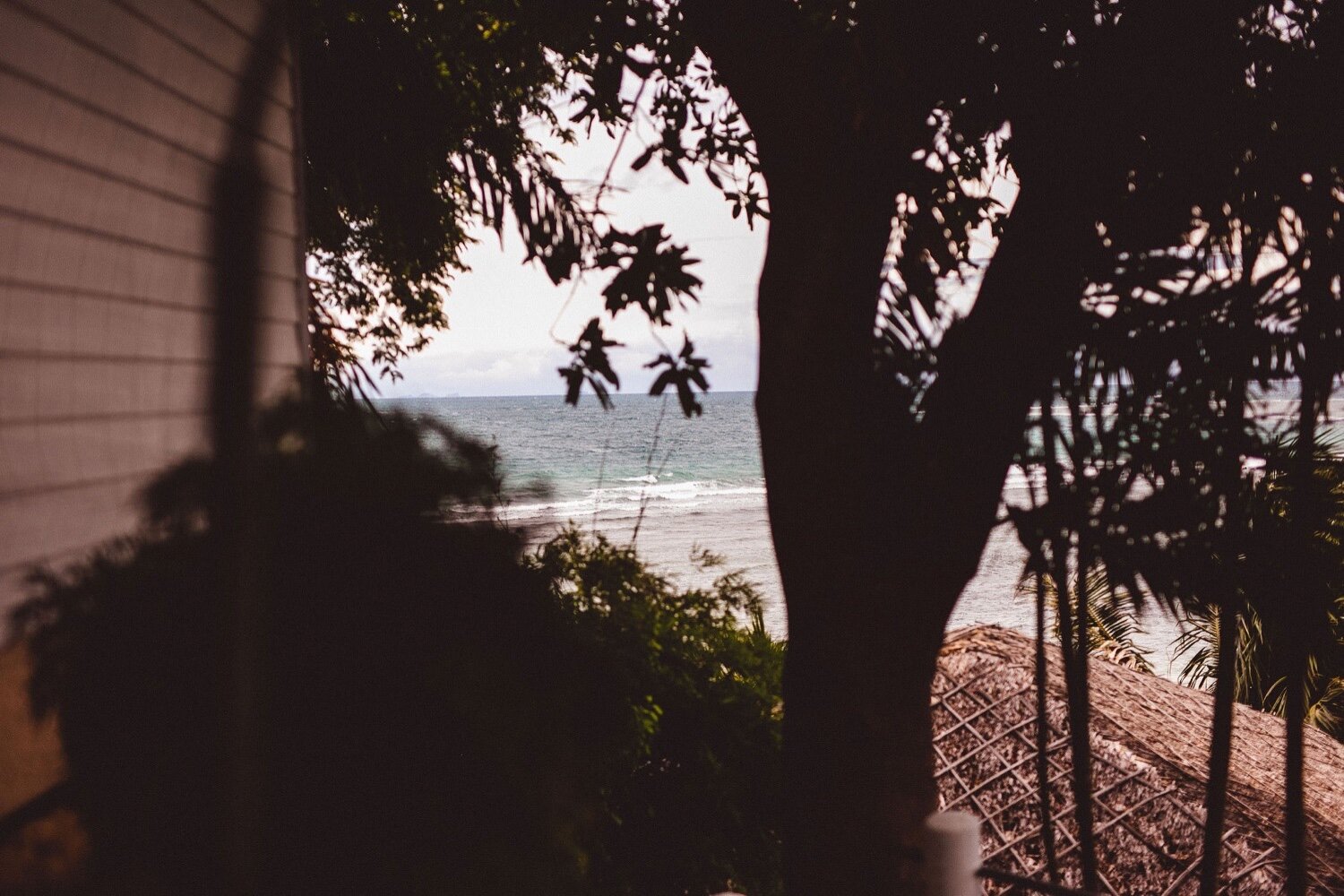 005_Megan&Daniel-20.jpg